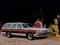 Buick Estate Wagon 1979 Limited 6.6L V8 Hydra-Matic