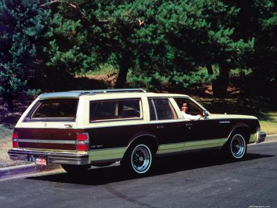 Buick Estate Wagon 1977 Limited 5.7L V8 Hydra-Matic (1976)