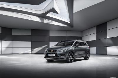 Cupra Ateca 2.0 TSI 4Drive DSG (2018)